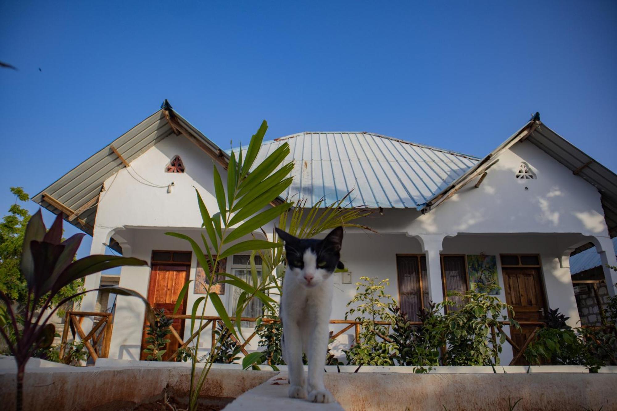 Margosa Bungalow, Zanzibar Couette-café *