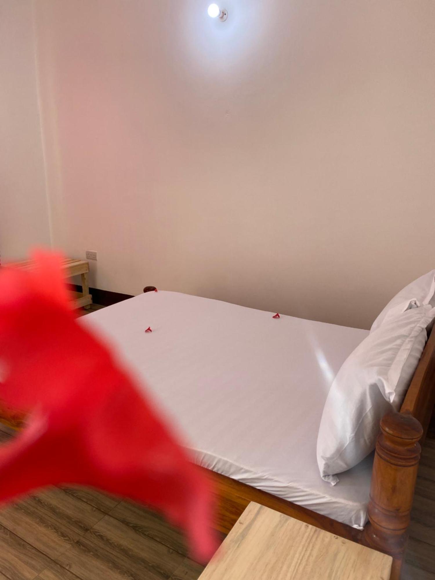 Couette-café Margosa Bungalow, Zanzibar *